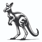 Kangaroo. Happy paws dog food